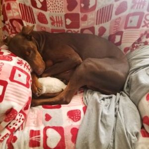 Meet your Posher, Joanne